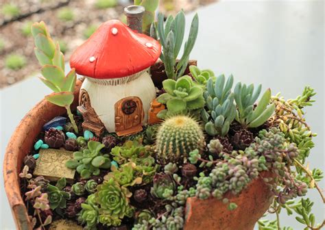 DIY Succulent Fairy Garden - Mountain Crest Gardens