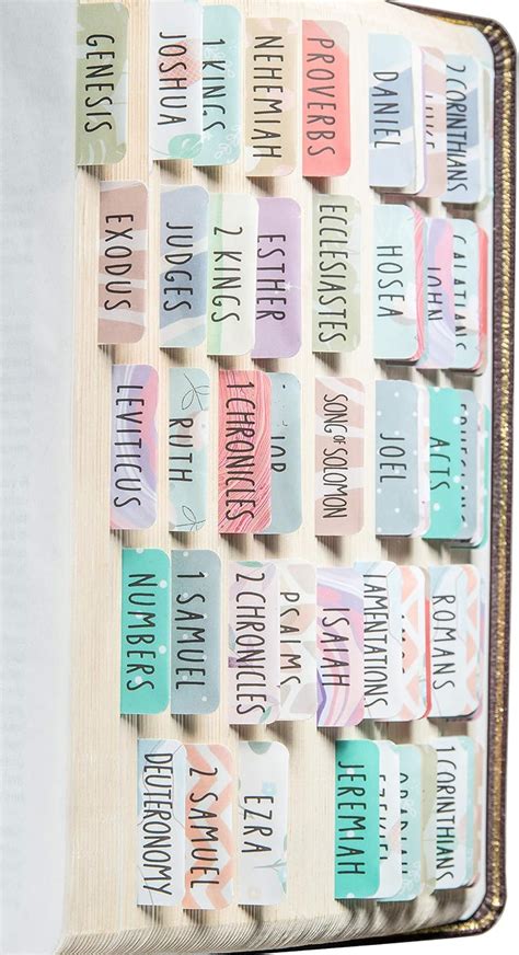 Amazon.com : DiverseBee Laminated Bible Tabs (Large Print, Easy to Read ...