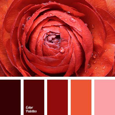 monochrome red color palette | Color Palette Ideas