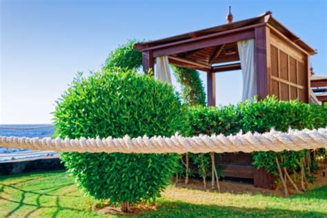 Curtains for a Pergola: Bringing Style and Function to Your Private Oasis