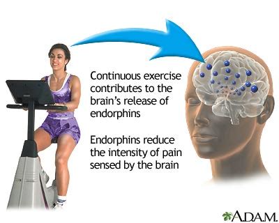 How endorphins make you feel better after an exercise - Chandler Sports