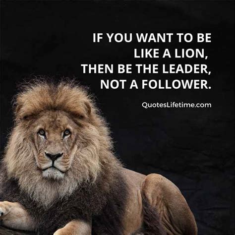 150+ Lion Quotes And Sayings With Images For Motivation