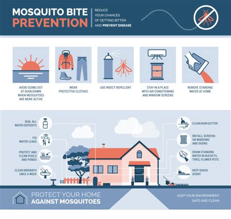 1,200+ Malaria Prevention Stock Illustrations, Royalty-Free Vector ...