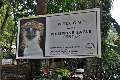 Meeting Mindanao at the Philippine Eagle Center - Leylander | A Life and Travel Blog