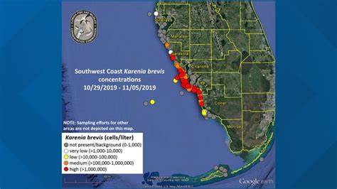 High levels of red tide reported in Sarasota County | wtsp.com