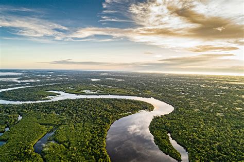 Floresta Amazônica: 5 abordagens recorrentes no ENEM - Notícias Concursos