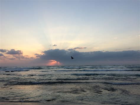 Sunrise, Tulum, Quintana Roo, México. | México