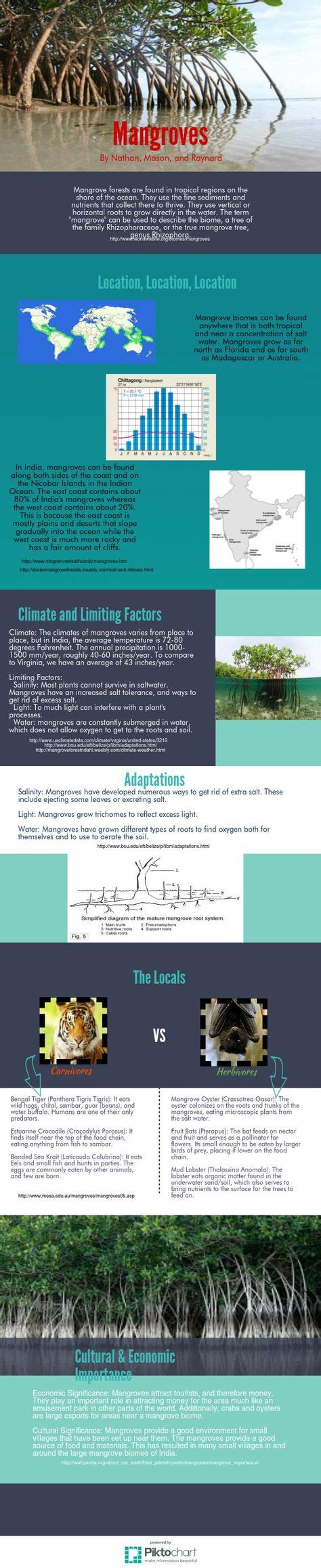 9 Biomes Piktochart examples ideas | biomes, infographic, science infographics