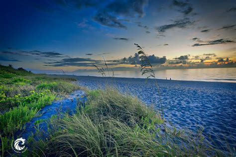 Jupiter Beach, Jupiter, FL | Jupiter beach, Outdoor, Beach