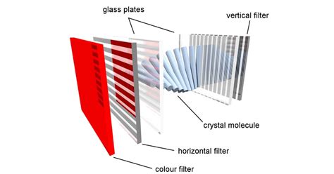 4 Types of LCD(Liquid Crystal Display)