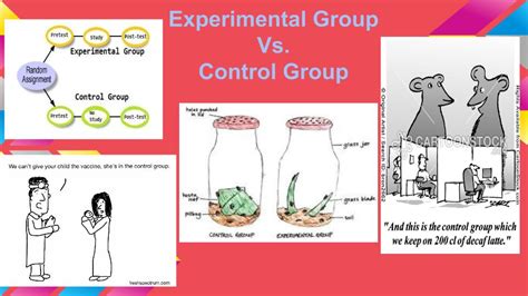 Experimental Group Control Group