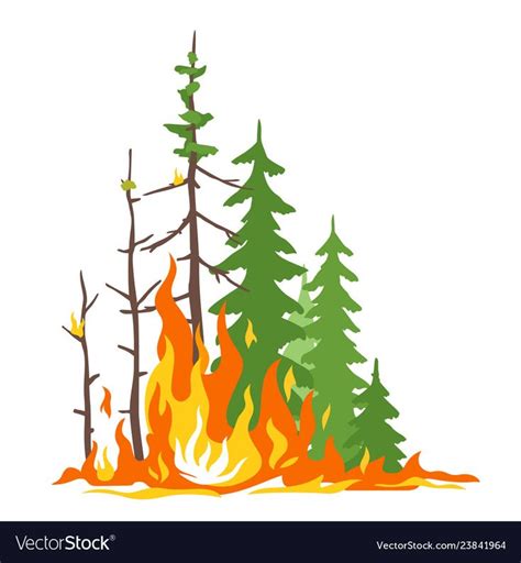 Forest fire poster Royalty Free Vector Image - VectorStock | Attività ...