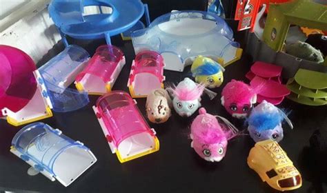 20 Best Hamster Accessories of 2020 (Guide & Reviews)