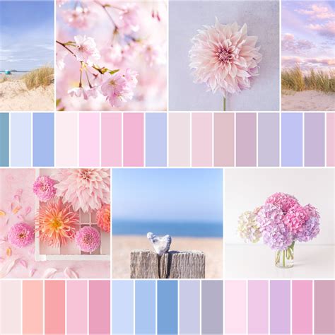 Colour Palette Inspiration by Zoë Power | Beautiful Simplicity