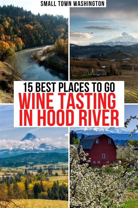 15 Delicious Hood River Wineries to Visit ASAP • Small Town Washington