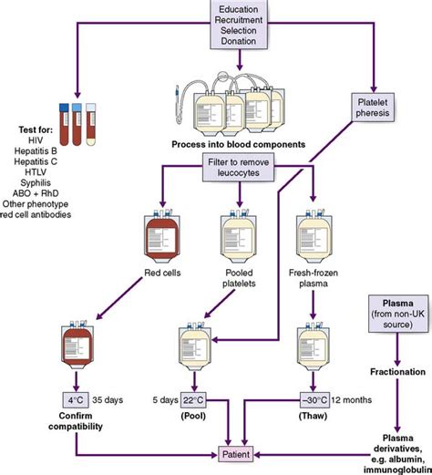 Blood Transfusion Process