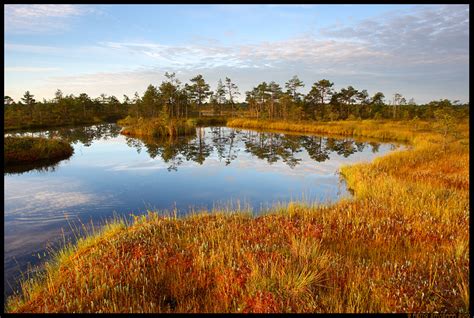 Estonian Nature Tours: New Wildlife Photography Tour to Estonia