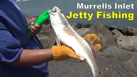 MURRELLS INLET JETTY FISHING (Near Myrtle Beach, South Carolina) - YouTube