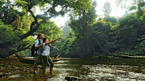 Private Taman Negara National Park Day Excursion from K.L