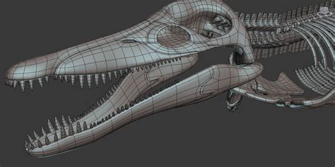 Pliosaur skeleton 3D Model $139 - .max .obj - Free3D