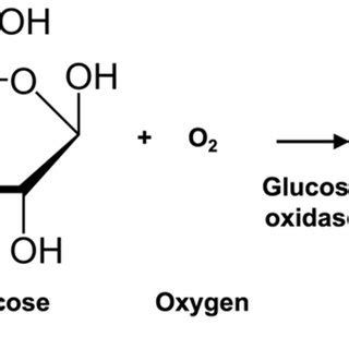 Scheme 1. Reaction scheme of glucose oxidation catalyzed by glucose... | Download Scientific Diagram