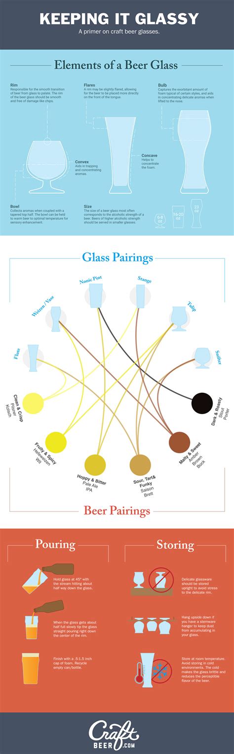 Infographic: How to Choose the Right Beer Glass