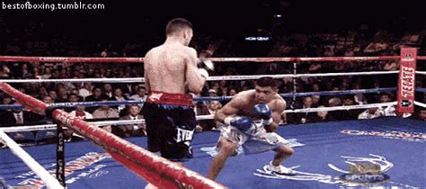 boxing animated GIF Martial Arts Gif, Stickers Online, Knockout, Good News, Giphy, Boxing ...