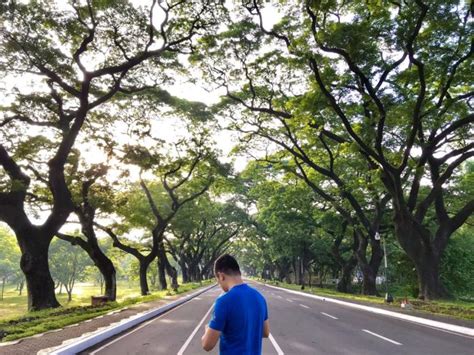 UP Diliman campus offers lots of ‘attractions’ for travelers to check out — Getaway.PH