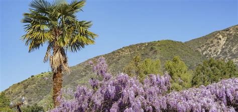 Discover the Charm of Sierra Madre, California