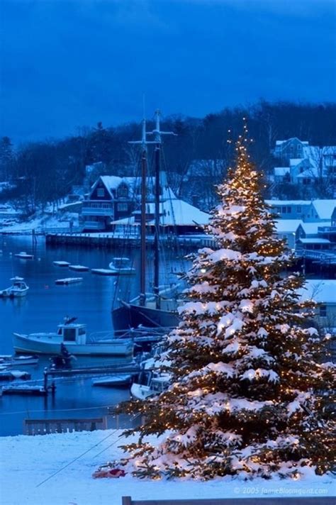 Christmas Tree - Camden, Maine - New England | Winter scenes, Christmas ...