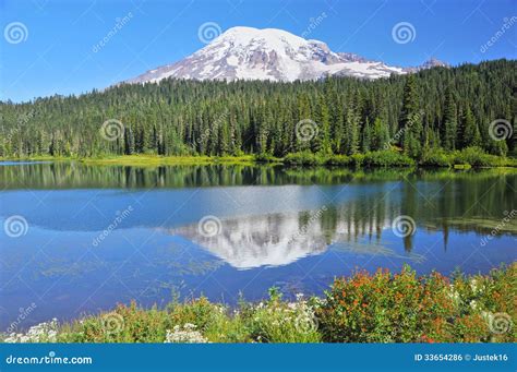 Mt. Rainier volcano stock photo. Image of tourist, paradise - 33654286