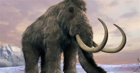 Megafauna of the Pleistocene Quiz