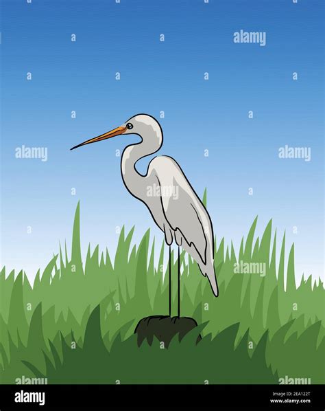 Crane stock illustration , Bird standing on Rock vector illustration Stock Vector Image & Art ...