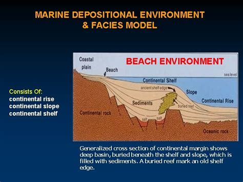 6 MARINE SEDIMENTATION FACIES DEPOSITIONAL ENVIRONMENT Definition Physical