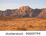 Las Vegas Desert Landscape in Nevada image - Free stock photo - Public ...