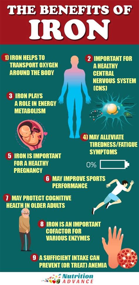 9 Health Benefits and Important Functions of Iron | Iron benefits ...