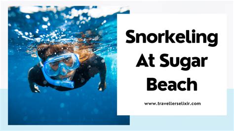 Sugar Beach St Lucia Snorkeling Guide - Everything You Need To Know