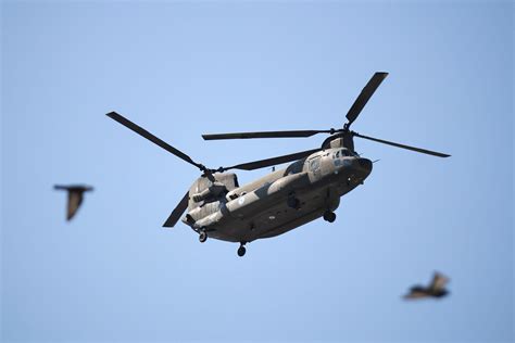 Germany picks Boeing's Chinook helicopters to replace Sikorsky fleet ...