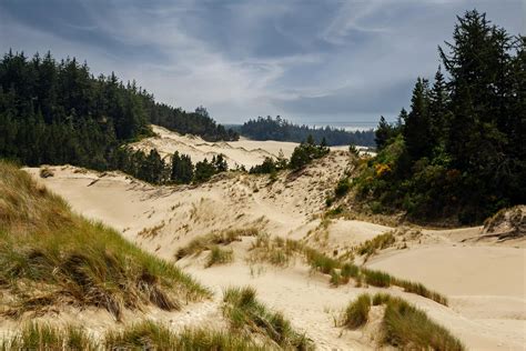 Oregon Dunes Photos, Download The BEST Free Oregon Dunes Stock Photos & HD Images