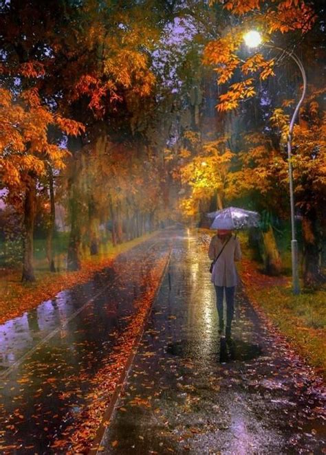 (6) Твиттер | Autumn rain, Rain art, Autumn park