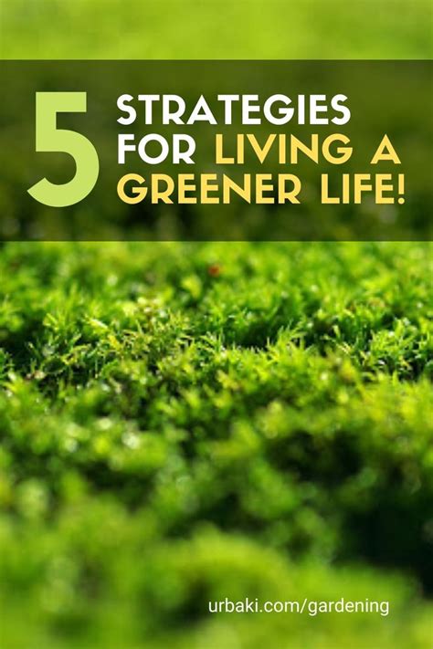 5 Strategies for Living a GREENER LIFE! | Green life, Life, Green