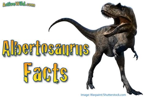 Albertosaurus Facts, Pictures & Information for Kids, Students and Adults