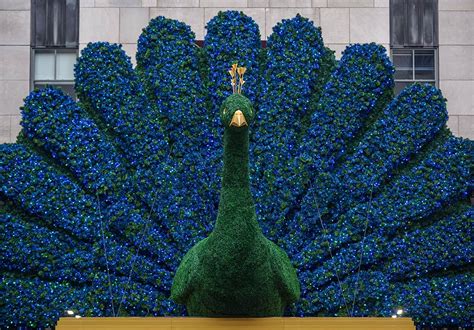 NBCUniversal: Peacock | Civic