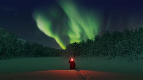 Enjoy the Arctic - Northern Lights Tour in Tromso