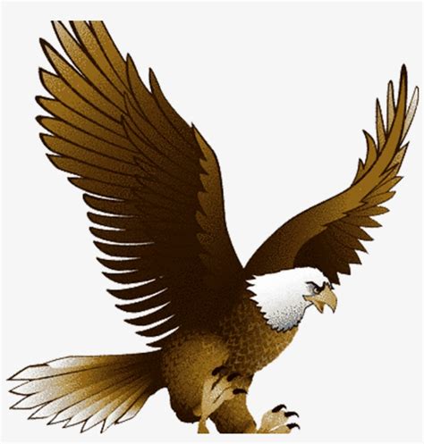 Eagle Clipart Bald Eagle Clipart School Clipart - Eagle Png Transparent ...