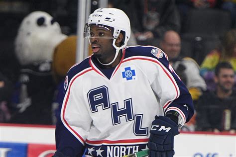 Bears sign Jordan Subban to AHL deal | TheAHL.com | The American Hockey League