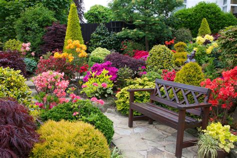 Garden seat amongst the azalea flowers ( June 5th) | Garden design ...