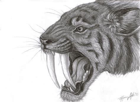 Smilodon by LUNAtic-36 on DeviantArt