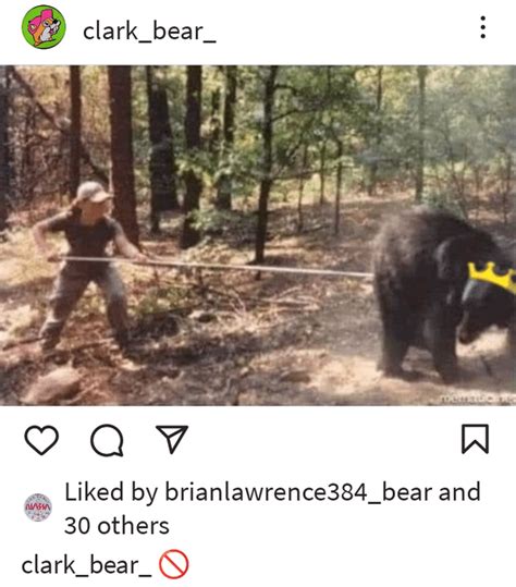 Bear posts. : r/owenbenjamin