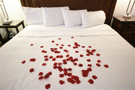 Romantic Rose Petals On Bed Stock Photo - Download Image Now - iStock